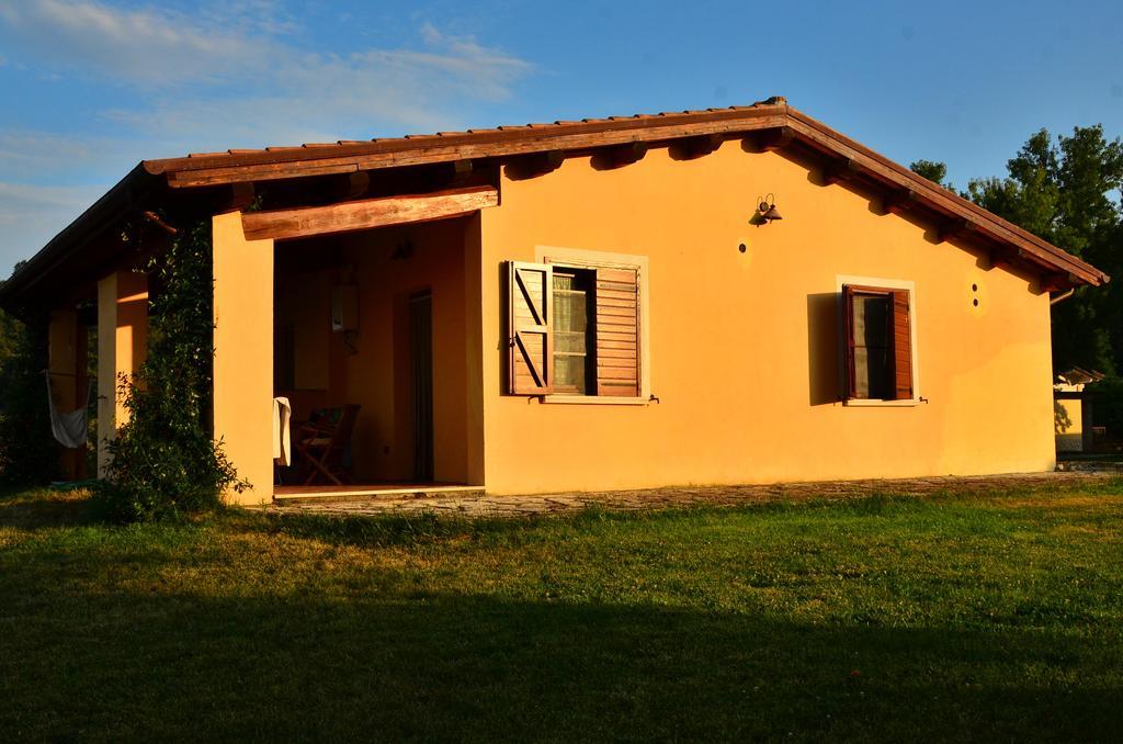 Agriturismo Terre Di Musignano Canino ห้อง รูปภาพ